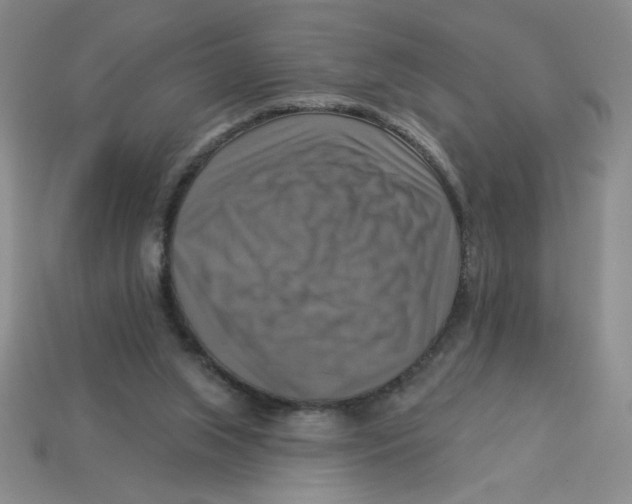 X0000113340063200910131227