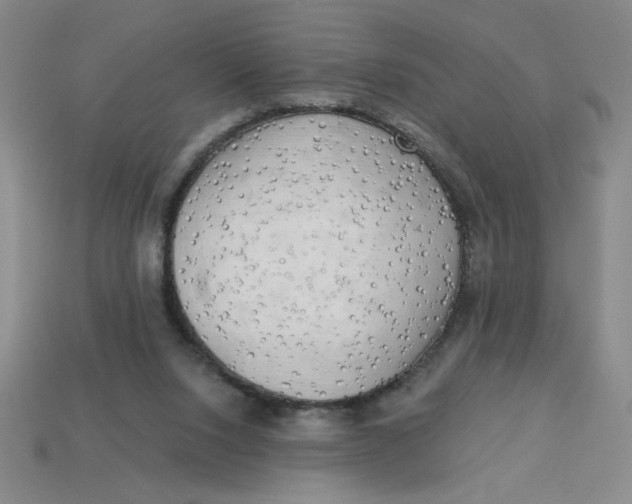 X0000113340064200910131227