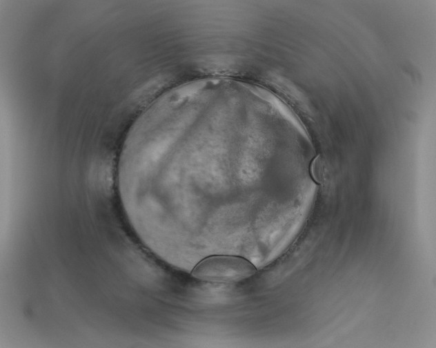 X0000113340065200910131227