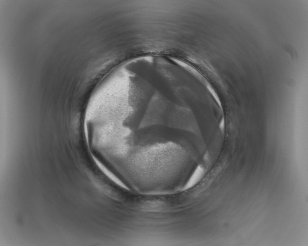 X0000113340066200910131227