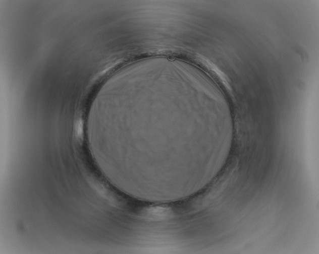 X0000113340067200910131227