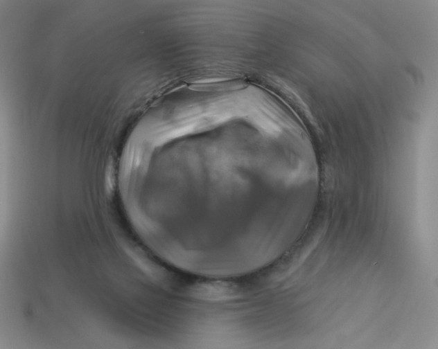 X0000113340069200910131227
