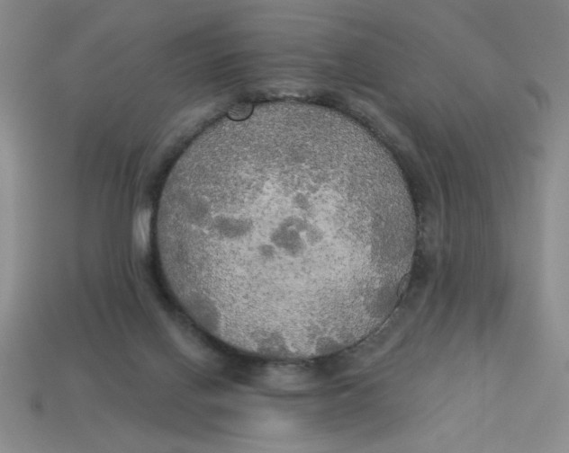 X0000113340070200910131227
