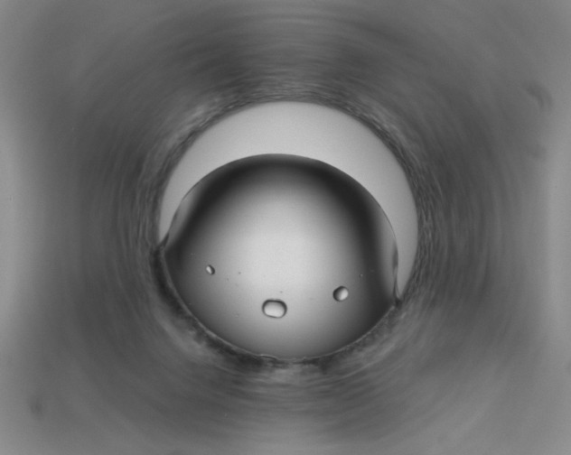 X0000113340072200910131227