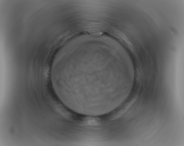 X0000113340073200910131227