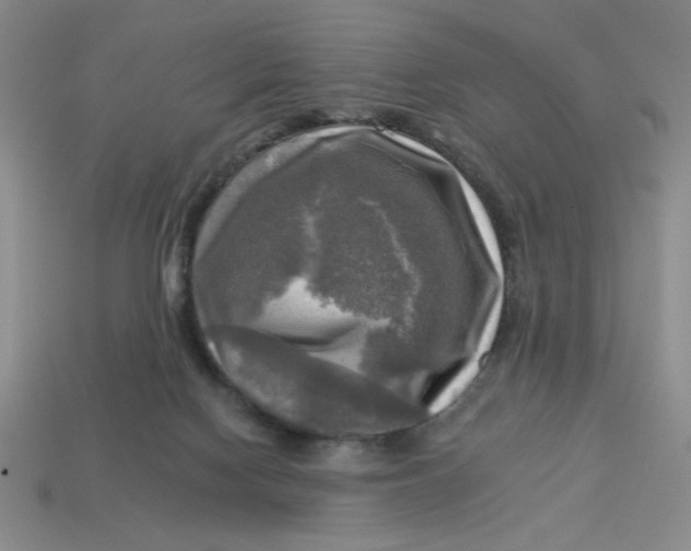 X0000113340074200910131227