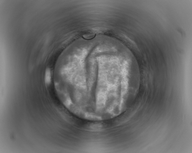 X0000113340075200910131227