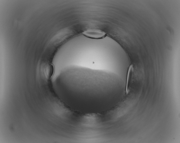 X0000113340076200910131227