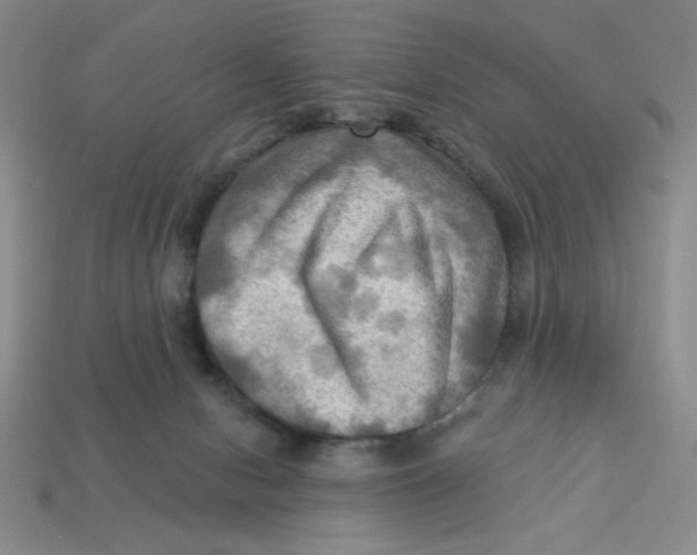 X0000113340078200910131227