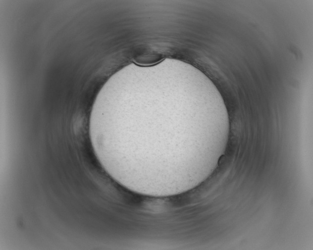 X0000113340079200910131227