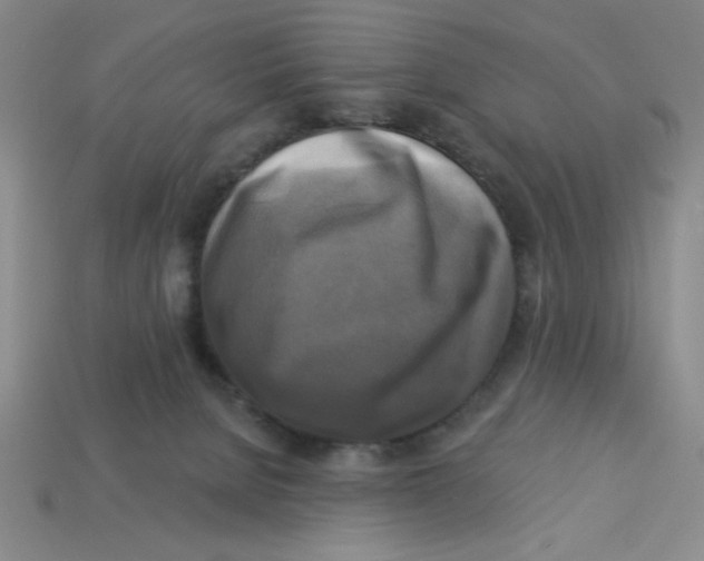 X0000113340080200910131227