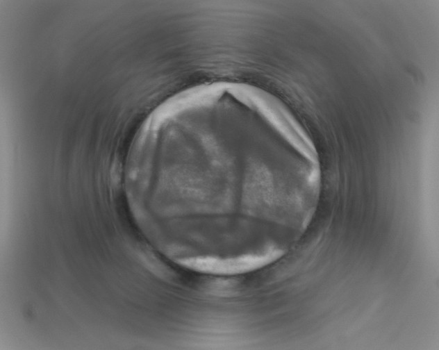 X0000113340081200910131227