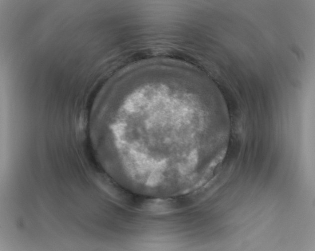 X0000113340082200910131227