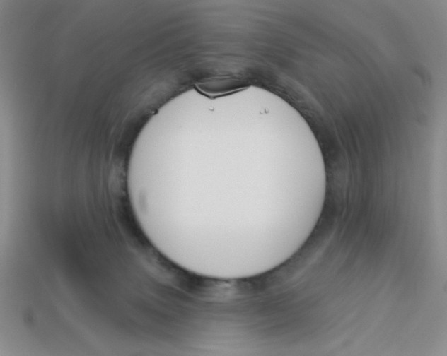 X0000113340083200910131227