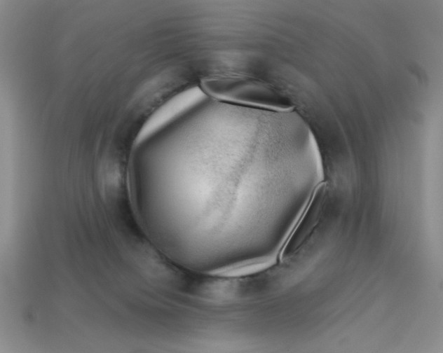 X0000113340084200910131227