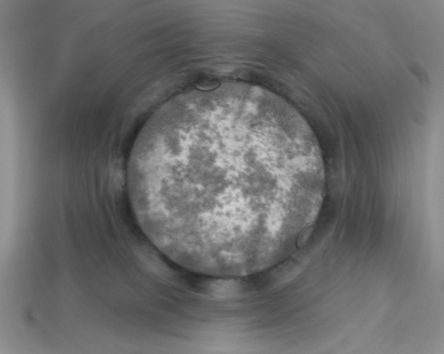 X0000113340085200910131227