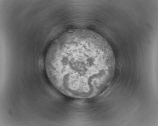 X0000113340086200910131227