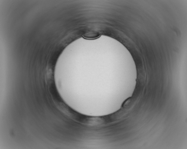 X0000113340087200910131227
