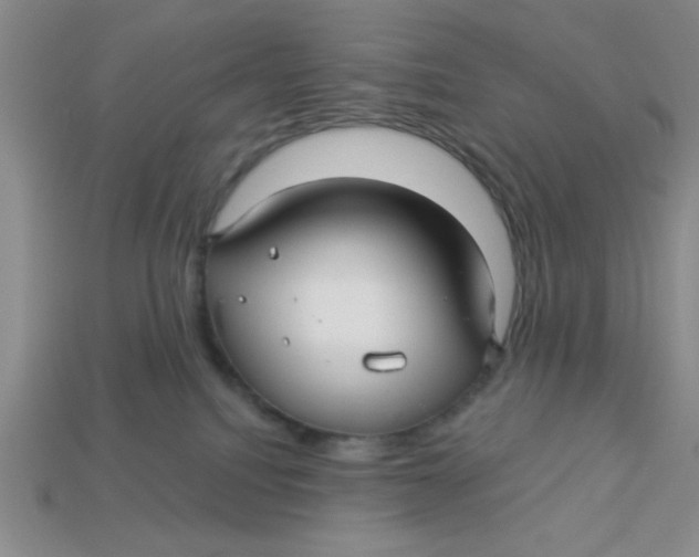 X0000113340088200910131227