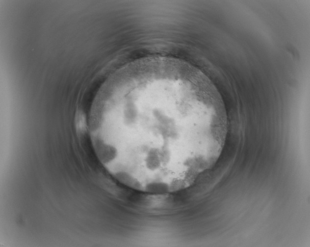 X0000113340089200910131227