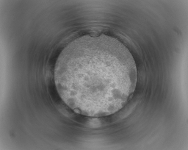 X0000113340091200910131227