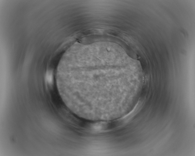 X0000113340094200910131228