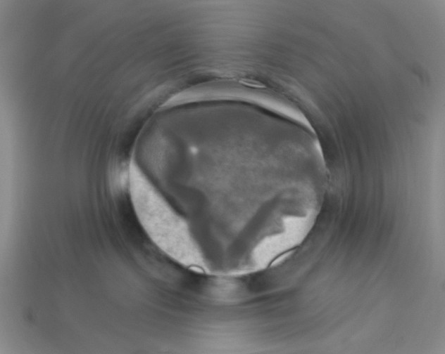 X0000113340095200910131228