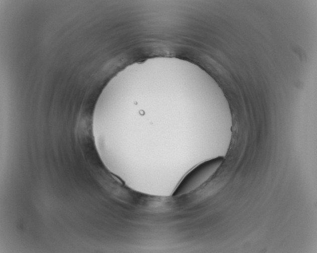 X0000113340096200910131228