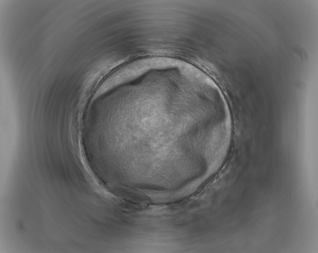 X0000113340097200910131227