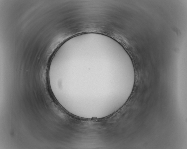 X0000113340098200910131227