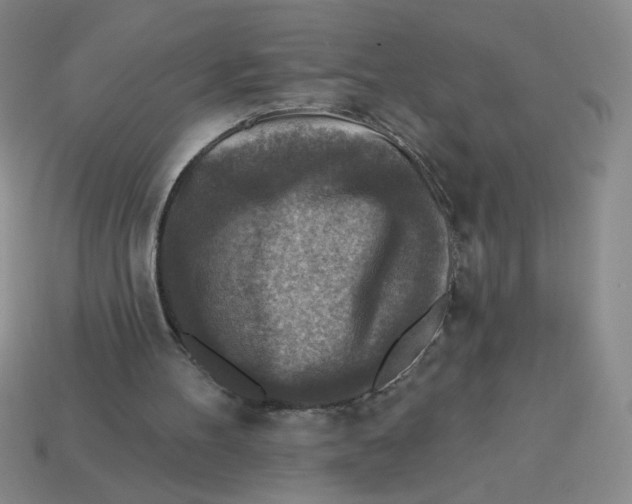 X0000113340100200910131227