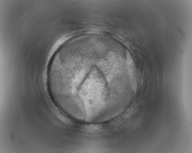 X0000113340102200910131227