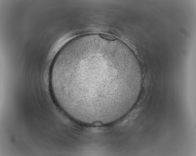 X0000113340103200910131227