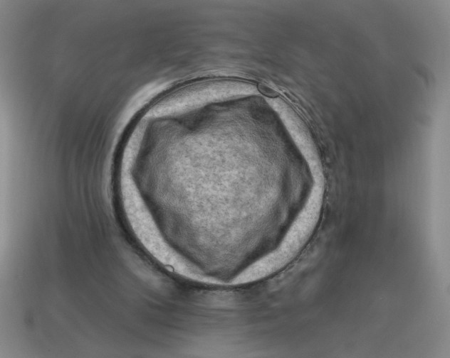 X0000113340104200910131227