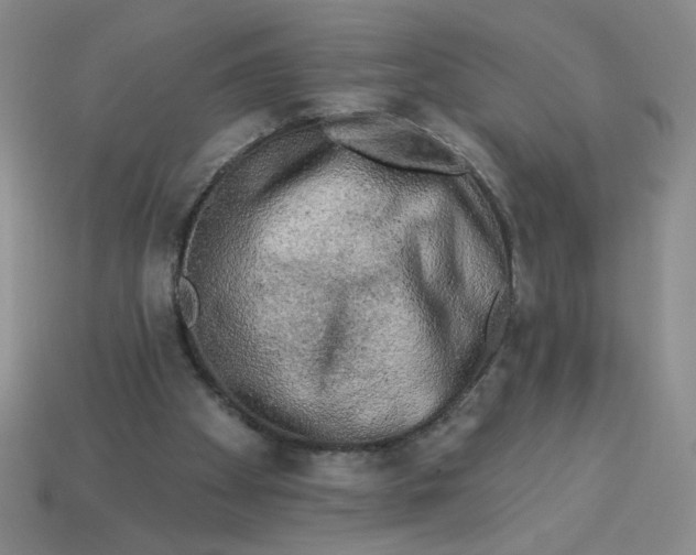 X0000113340105200910131227