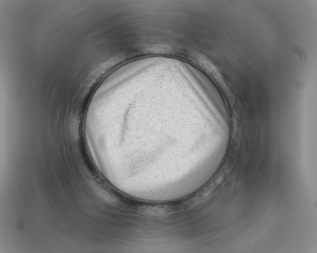 X0000113340106200910131227