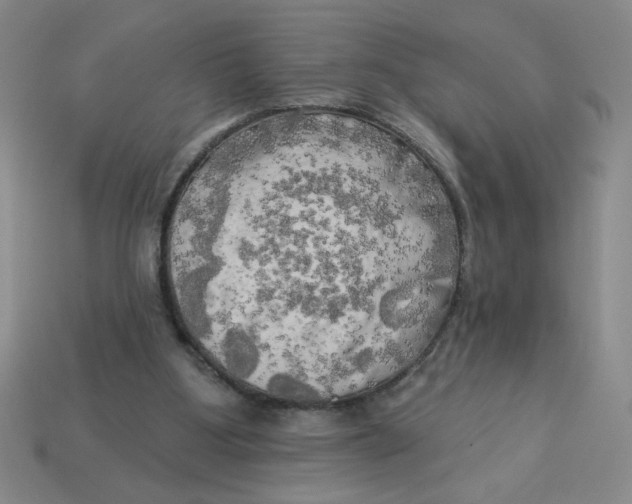X0000113340107200910131227