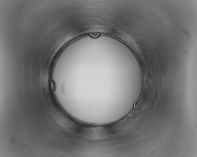 X0000113340108200910131227
