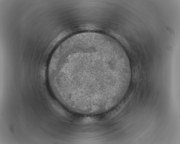 X0000113340111200910131227