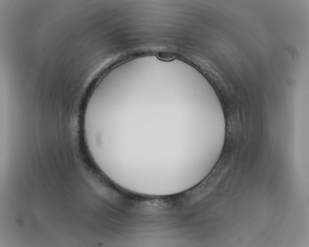 X0000113340112200910131227