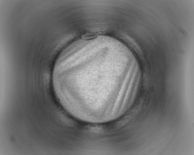 X0000113340113200910131227