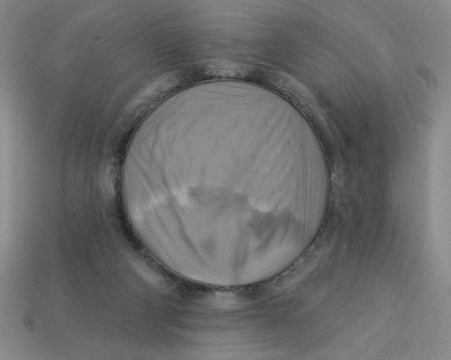 X0000113340114200910131227