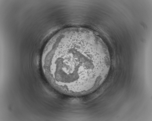 X0000113340115200910131227