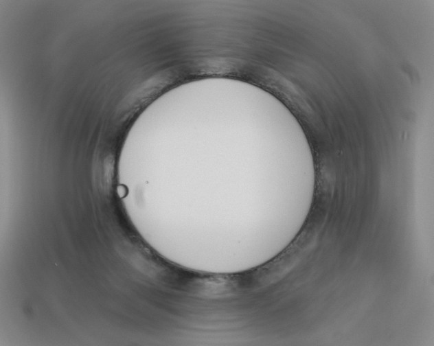 X0000113340118200910131227