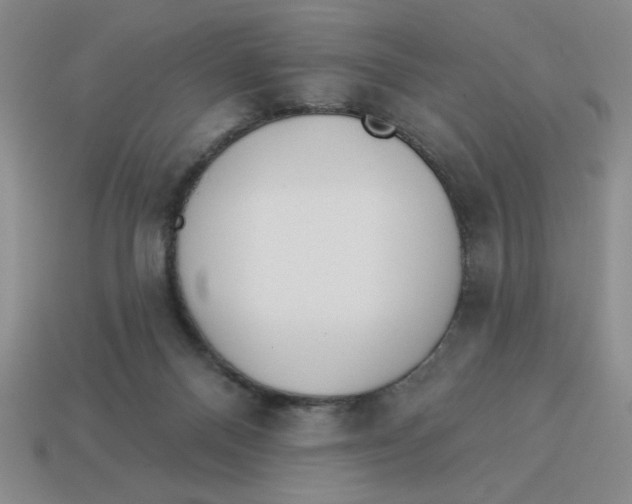 X0000113340120200910131227