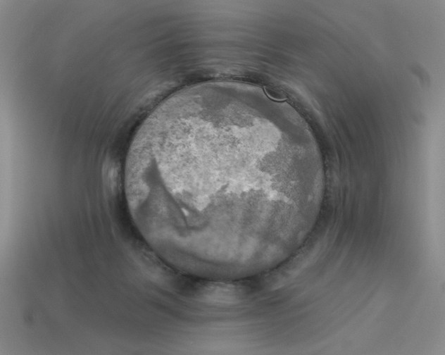 X0000113340123200910131227