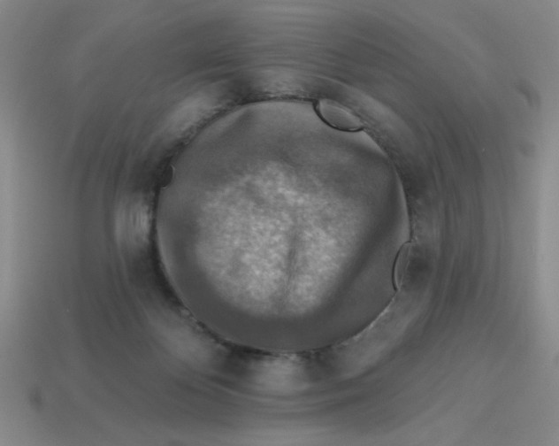 X0000113340124200910131227