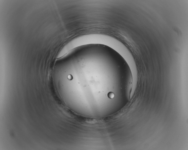X0000113340125200910131227
