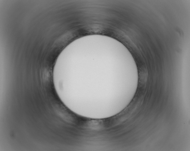 X0000113340126200910131227
