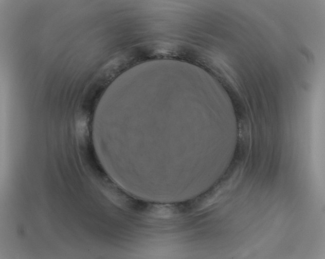 X0000113340127200910131227